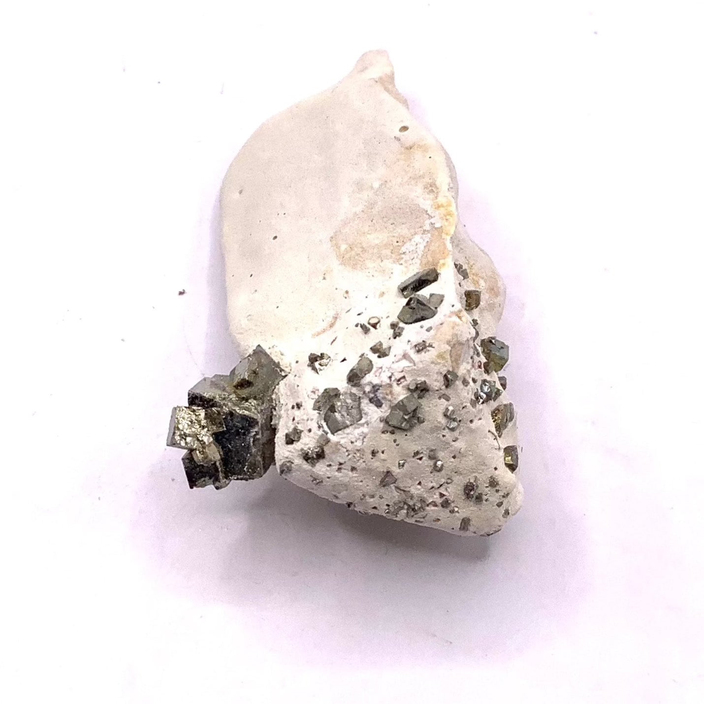 Pyrite with Toadstone
