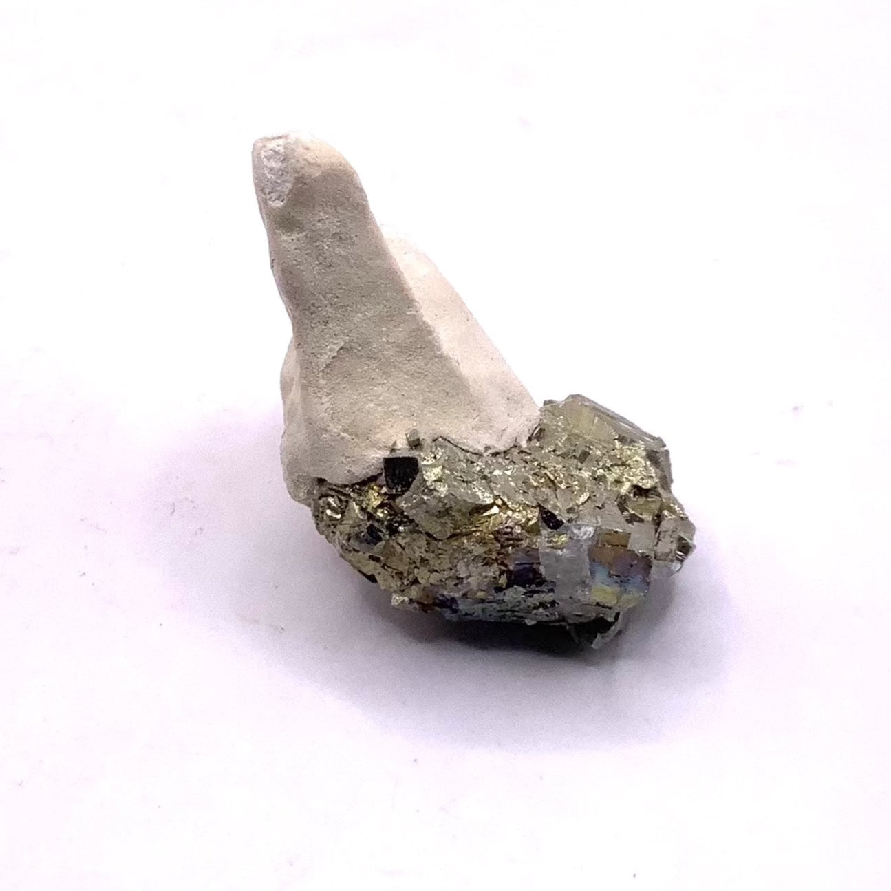 Pyrite with Toadstone
