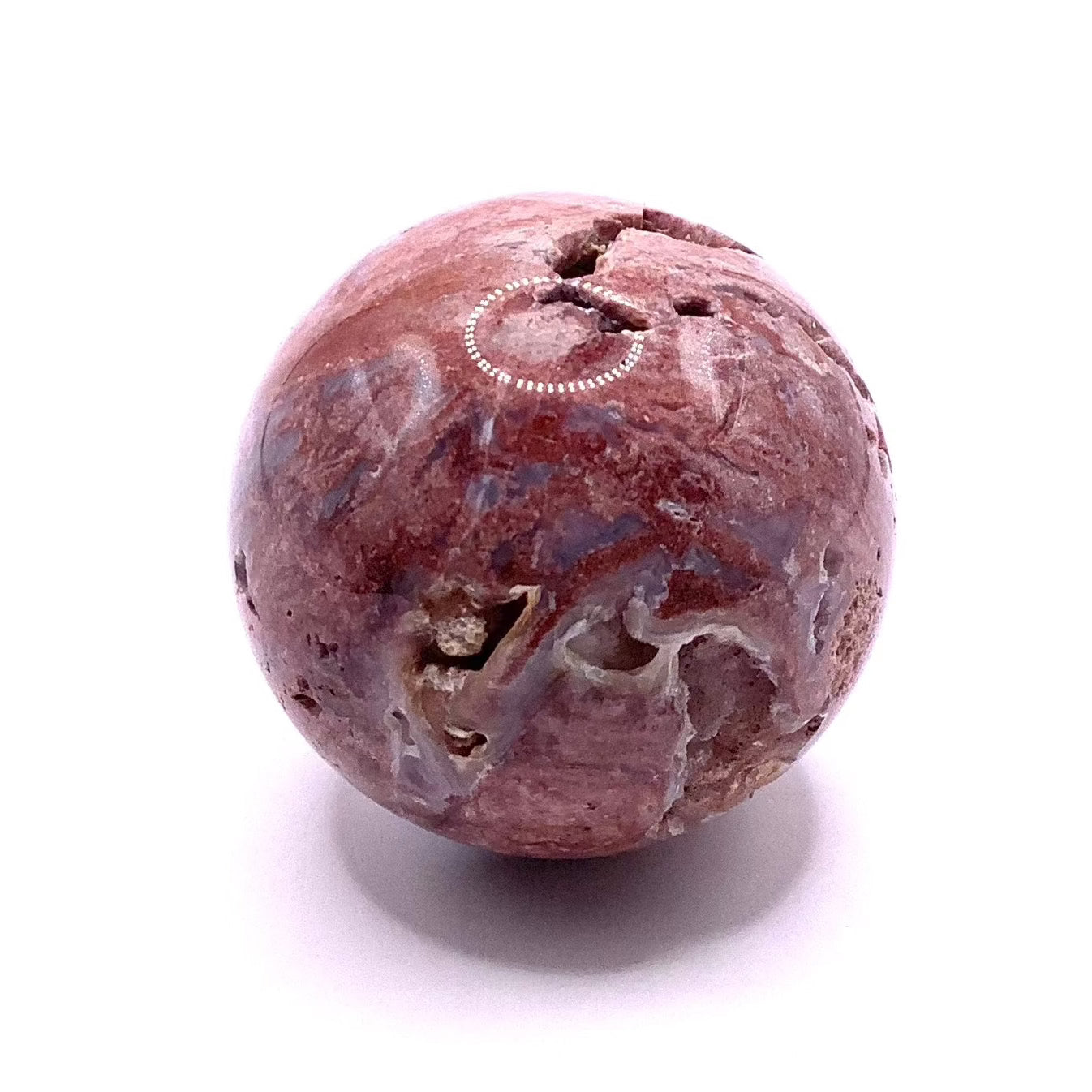 Petrified Wood Sphere