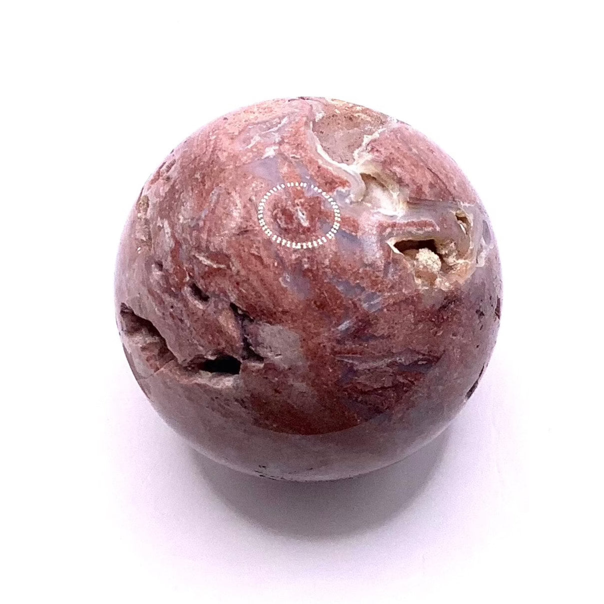 Petrified Wood Sphere