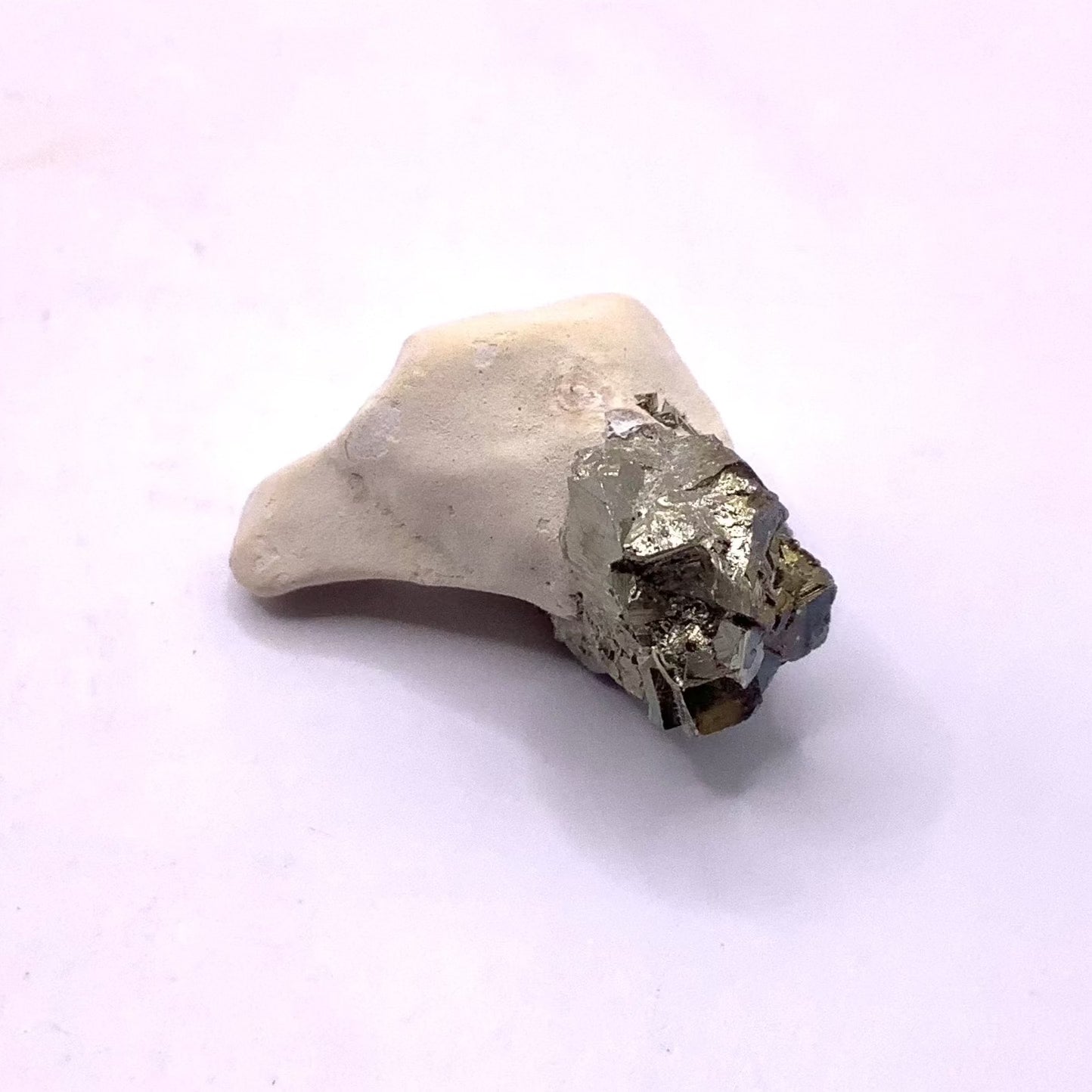 Pyrite with Toadstone