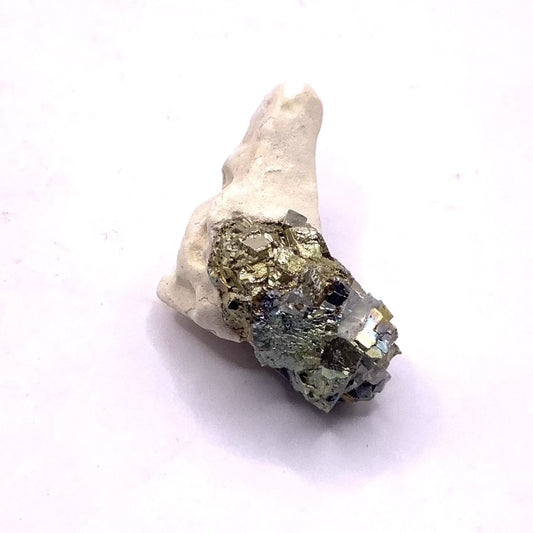 Pyrite with Toadstone