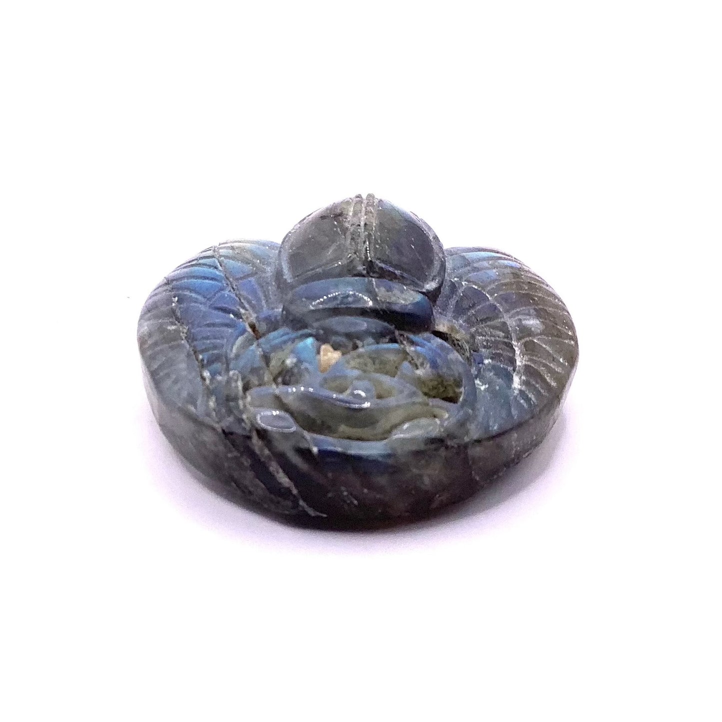 Labradorite Scarab